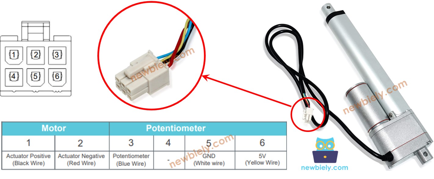 Pinagem do Atuador Linear com Feedback